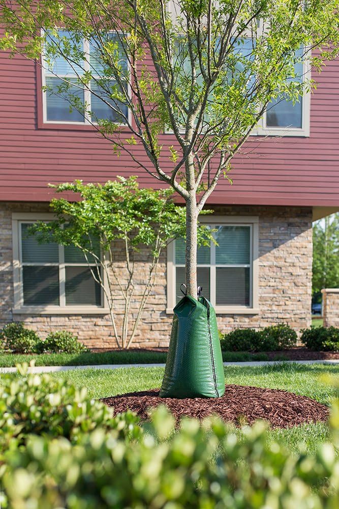 Treegator® Original Slow Release Watering Bag