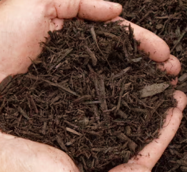 Person holding brown mulch in their hands, showcasing its rich color and texture for landscaping projects.