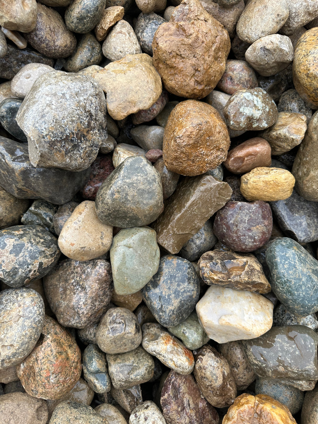 Oversized River Rock (Per Scoop)