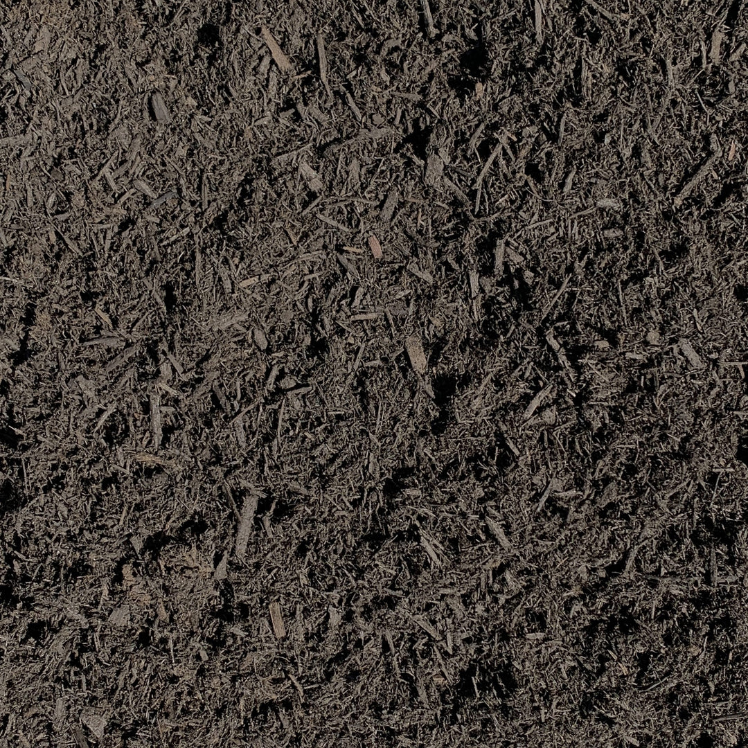 Close up picture of dyed black mulch